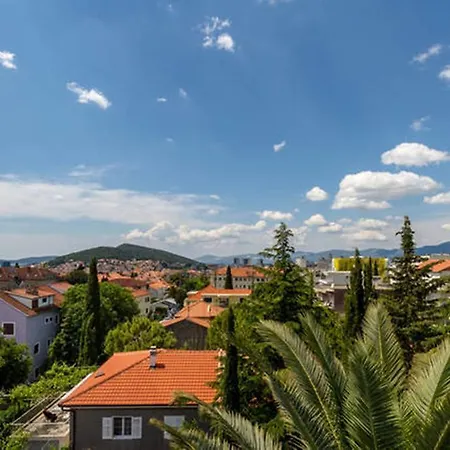 Apartment Palm Penthouse Terrace Split
