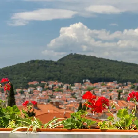Apartment Palm Penthouse Terrace *