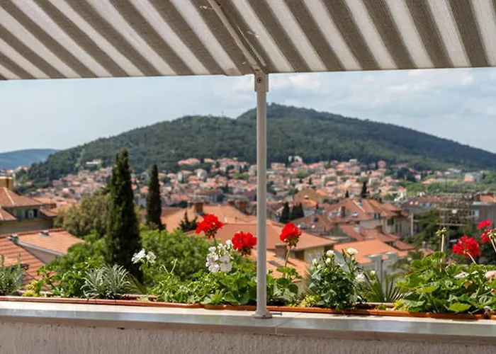 Lägenhet Palm Penthouse Terrace Split