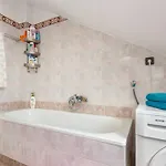 Appartement Palm Penthouse Terrace *